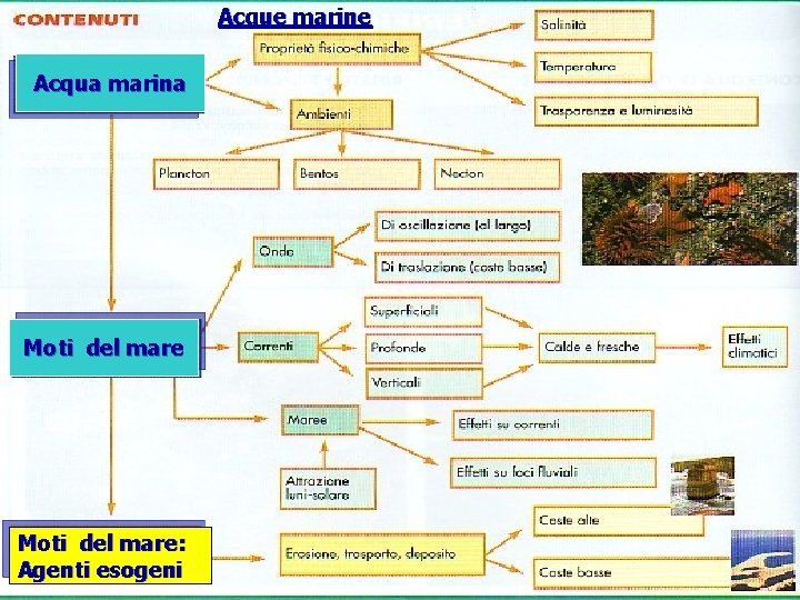 Acque marine Acqua marina Moti del mare: Agenti esogeni prof. Filippo QUITADAMO 91 