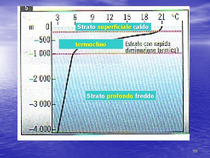 Strato superficiale caldo termoclino Strato profondo freddo 99 