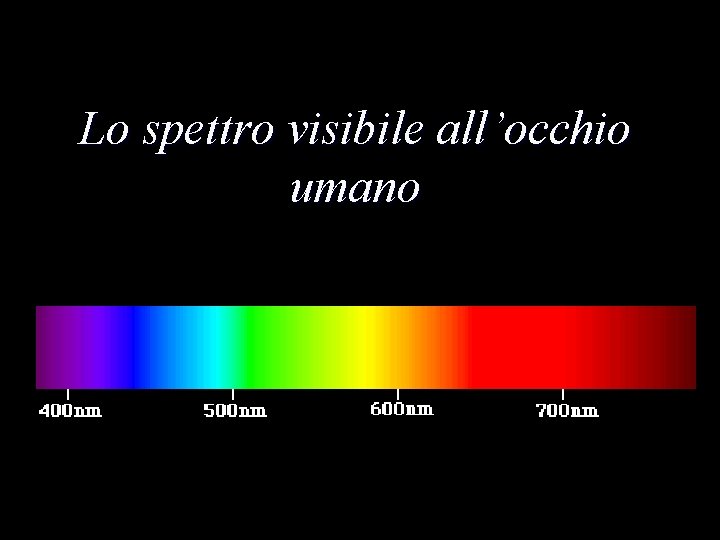 Lo spettro visibile all’occhio umano 