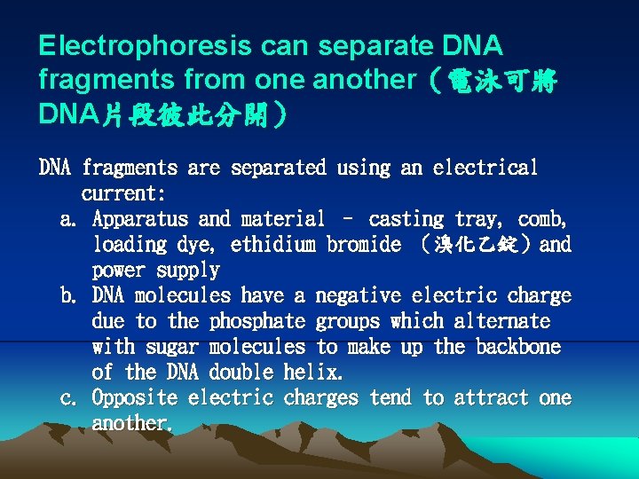 Electrophoresis can separate DNA fragments from one another（電泳可將 DNA片段彼此分開） DNA fragments are separated using