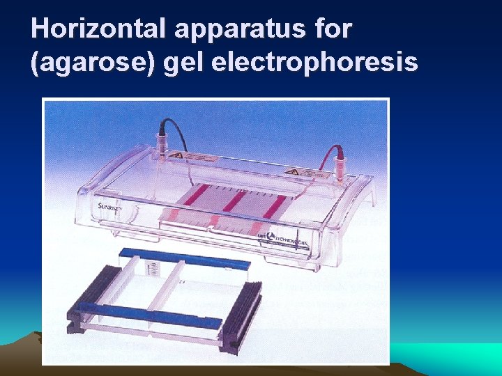 Horizontal apparatus for (agarose) gel electrophoresis 