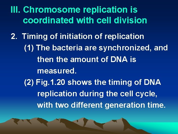 III. Chromosome replication is coordinated with cell division 2. Timing of initiation of replication