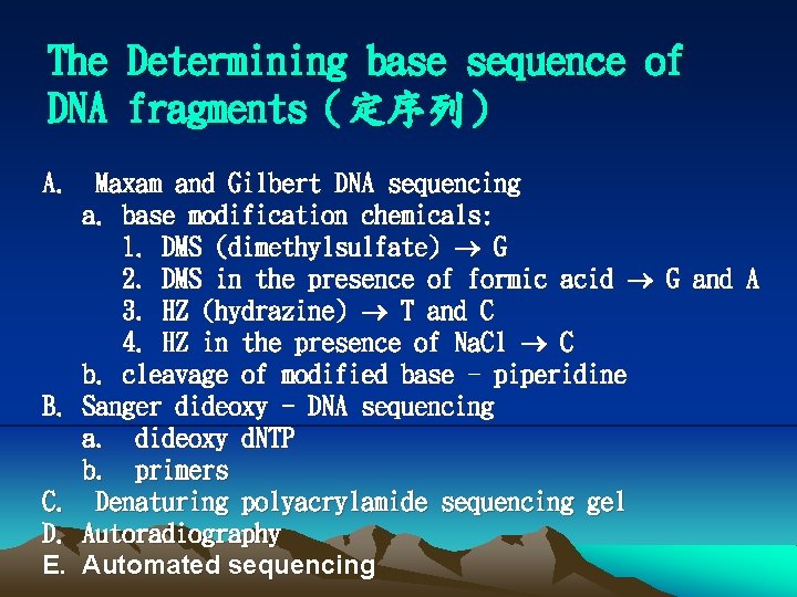 The Determining base sequence of DNA fragments（定序列） A. Maxam and Gilbert DNA sequencing a.