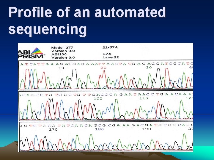 Profile of an automated sequencing 