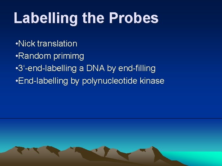 Labelling the Probes • Nick translation • Random primimg • 3‘-end-labelling a DNA by