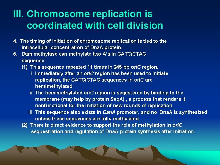 III. Chromosome replication is coordinated with cell division 4. The timing of initiation of