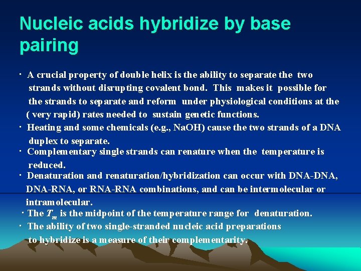 Nucleic acids hybridize by base pairing · A crucial property of double helix is