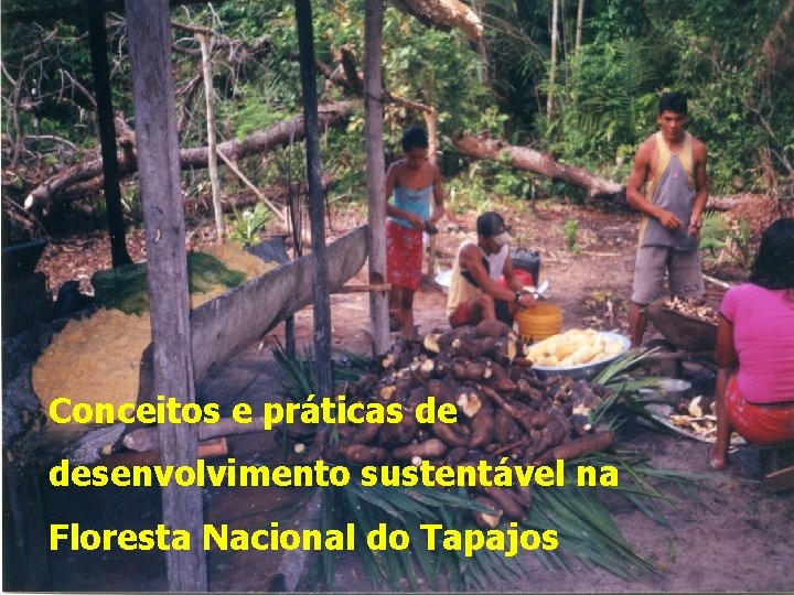 Conceitos e práticas de desenvolvimento sustentável na Floresta Nacional do Tapajos 