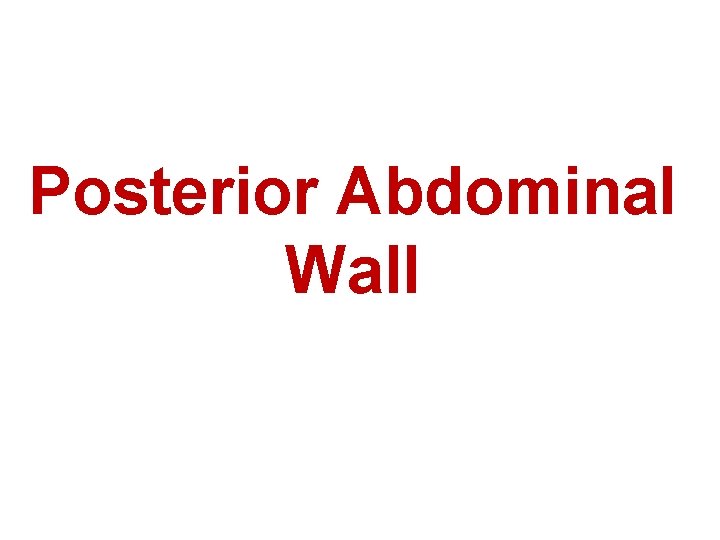 Posterior Abdominal Wall 