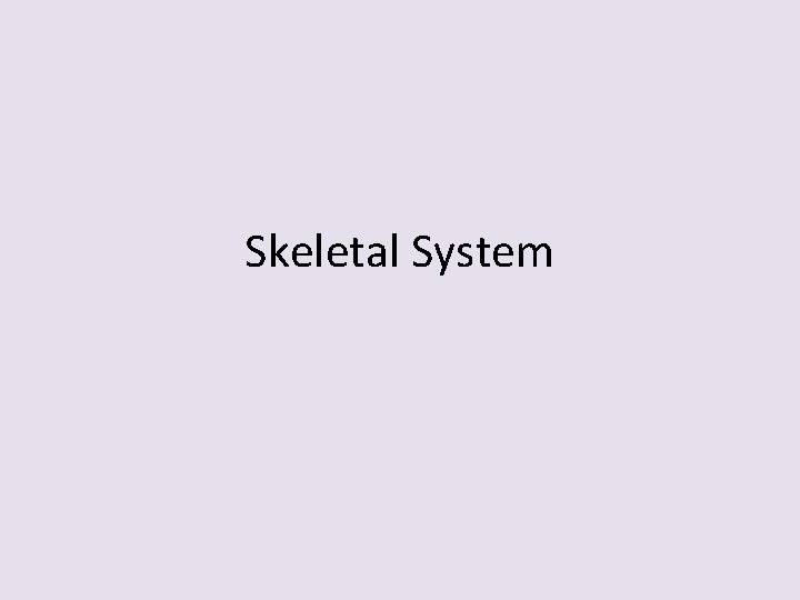 Skeletal System 