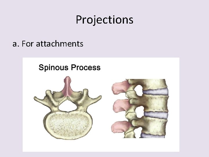 Projections a. For attachments 