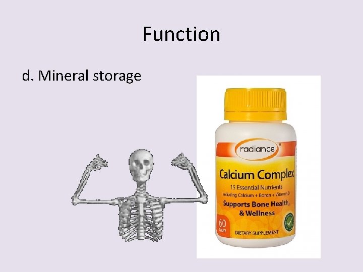 Function d. Mineral storage 