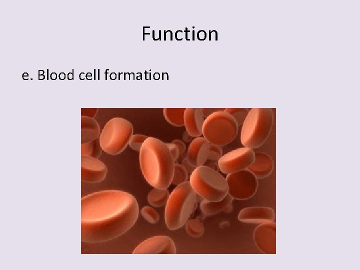 Function e. Blood cell formation 