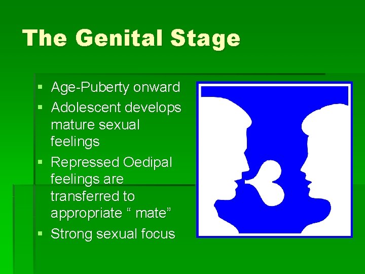 The Genital Stage § Age-Puberty onward § Adolescent develops mature sexual feelings § Repressed
