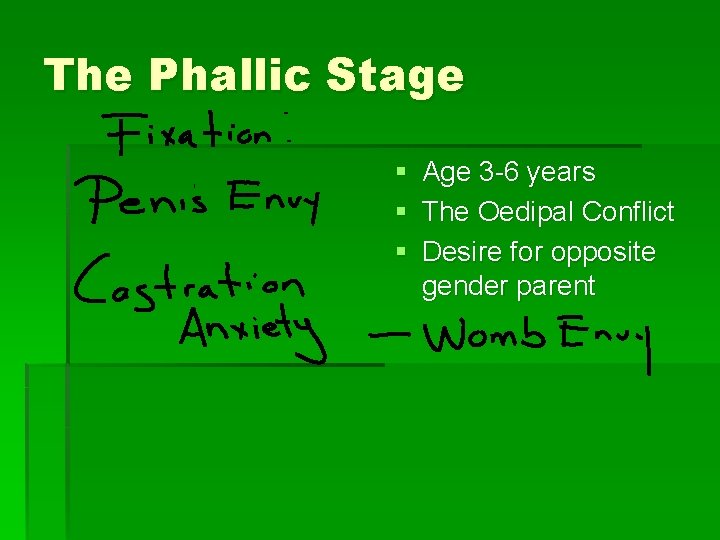 The Phallic Stage § Age 3 -6 years § The Oedipal Conflict § Desire