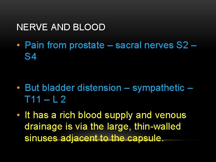 NERVE AND BLOOD • Pain from prostate – sacral nerves S 2 – S