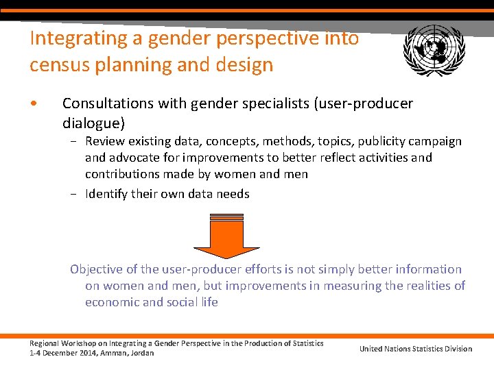 Integrating a gender perspective into census planning and design • Consultations with gender specialists