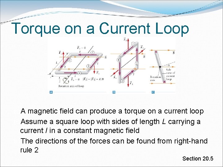 Torque on a Current Loop A magnetic field can produce a torque on a