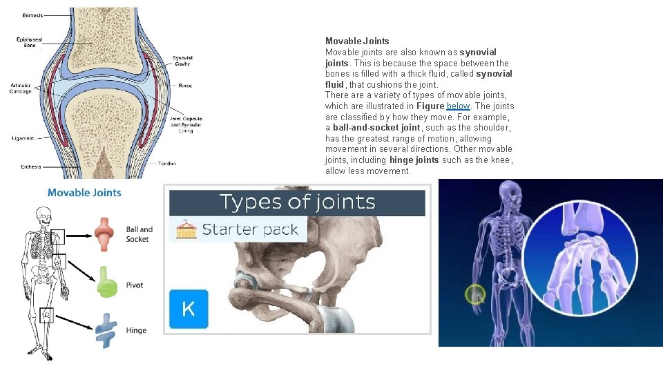 Movable Joints Movable joints are also known as synovial joints. This is because the