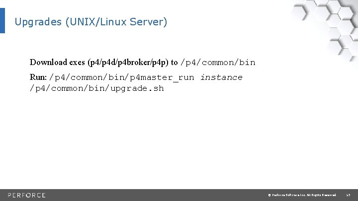 Upgrades (UNIX/Linux Server) Download exes (p 4/p 4 d/p 4 broker/p 4 p) to