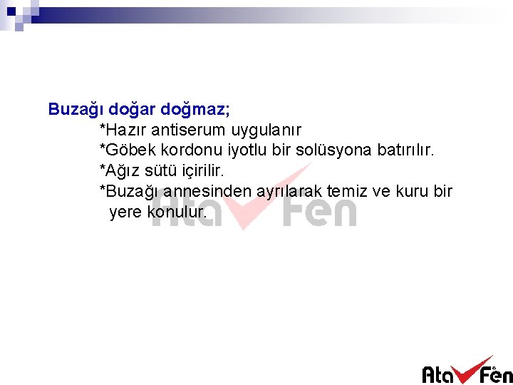 Buzağı doğar doğmaz; *Hazır antiserum uygulanır *Göbek kordonu iyotlu bir solüsyona batırılır. *Ağız sütü