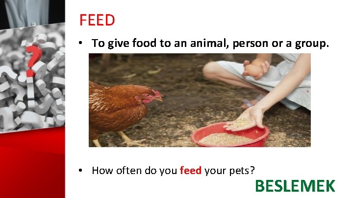 FEED • To give food to an animal, person or a group. • How