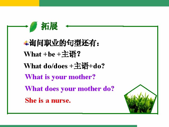拓展 询问职业的句型还有： What +be +主语？ What do/does +主语+do? What is your mother? What does