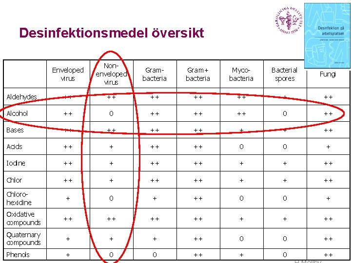 Desinfektionsmedel översikt Enveloped virus Nonenveloped virus Grambacteria Gram+ bacteria Mycobacteria Bacterial spores Fungi Aldehydes