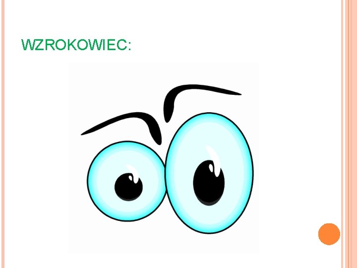 WZROKOWIEC: 