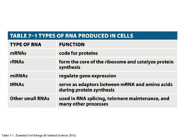 Table 7 -1 Essential Cell Biology (© Garland Science 2010) 