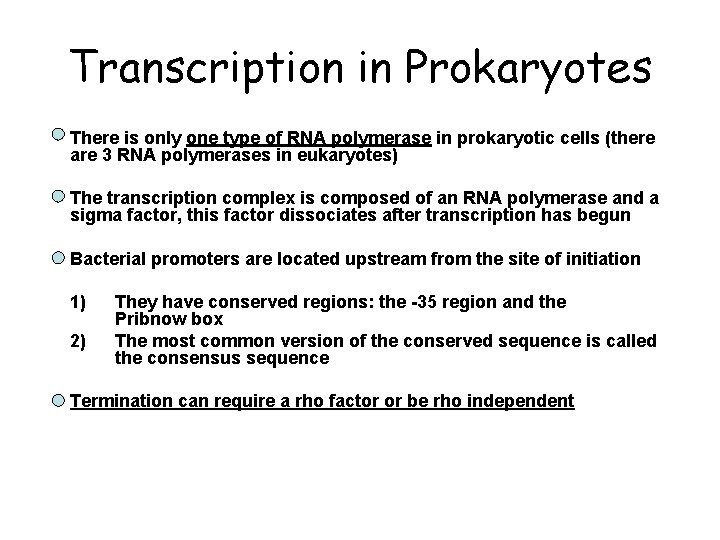 Transcription in Prokaryotes • There is only one type of RNA polymerase in prokaryotic