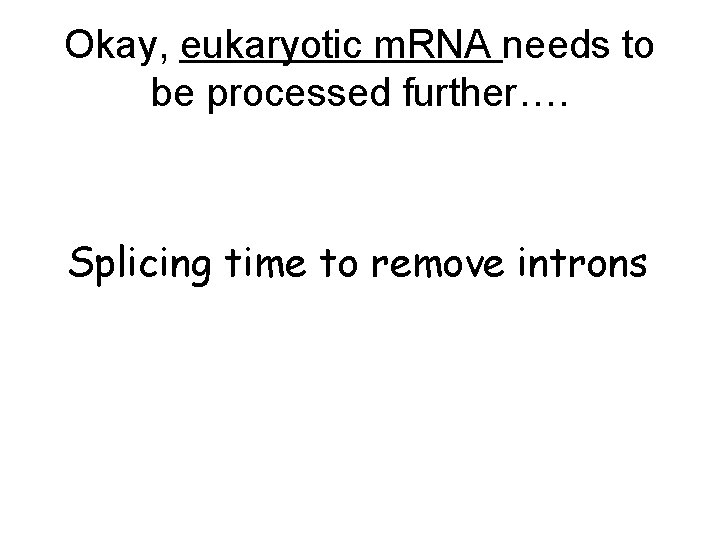 Okay, eukaryotic m. RNA needs to be processed further…. Splicing time to remove introns