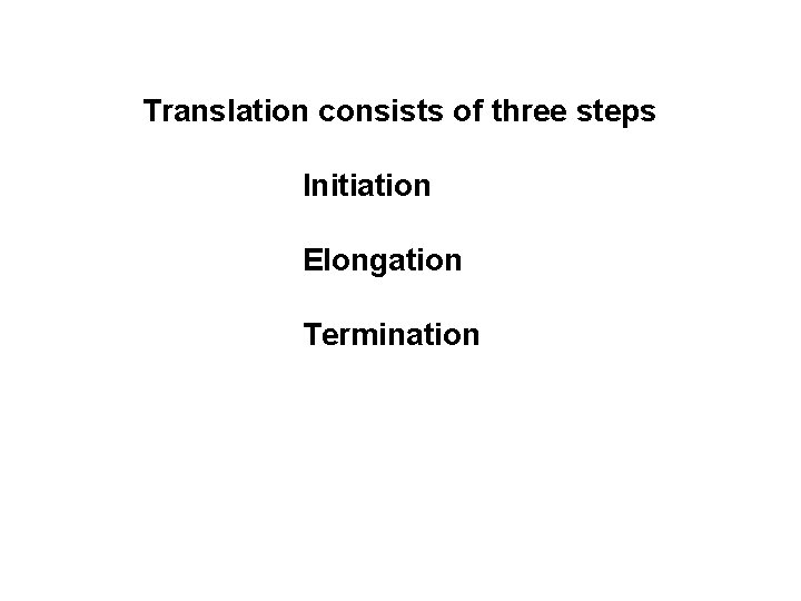 Translation consists of three steps Initiation Elongation Termination 