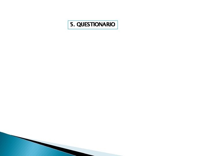 5. QUESTIONARIO 