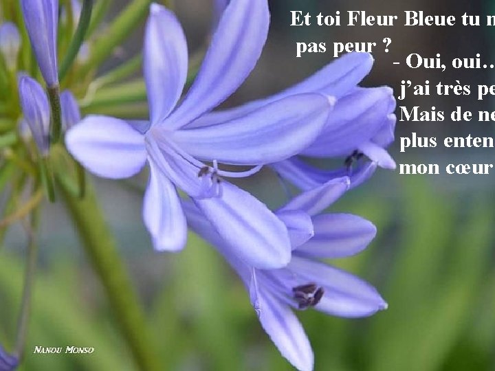 Et toi Fleur Bleue tu n pas peur ? - Oui, oui… j’ai très