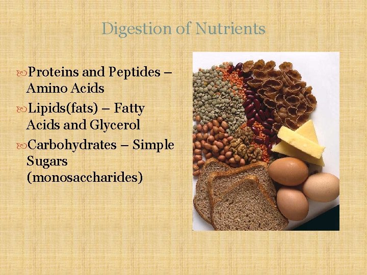 Digestion of Nutrients Proteins and Peptides – Amino Acids Lipids(fats) – Fatty Acids and