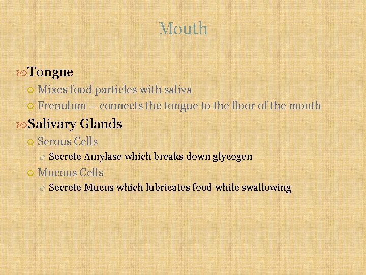 Mouth Tongue Mixes food particles with saliva Frenulum – connects the tongue to the