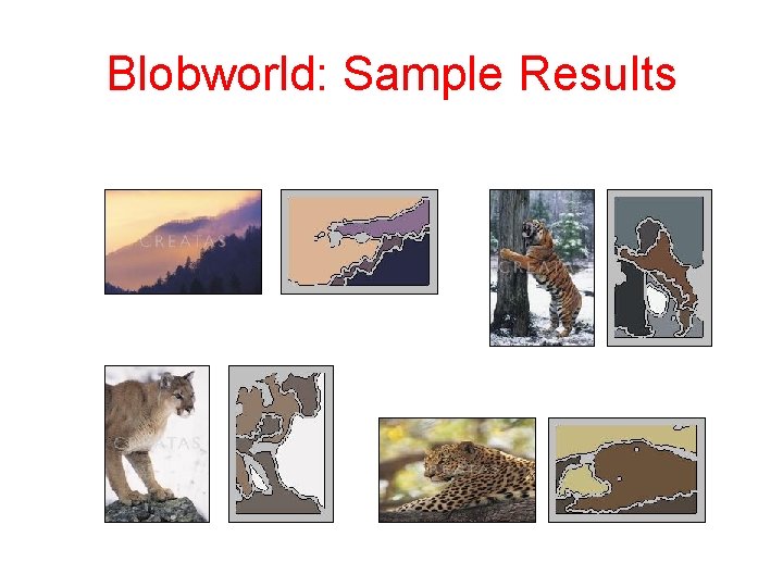 Blobworld: Sample Results 