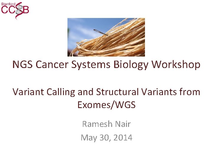 NGS Cancer Systems Biology Workshop Variant Calling and Structural Variants from Exomes/WGS Ramesh Nair