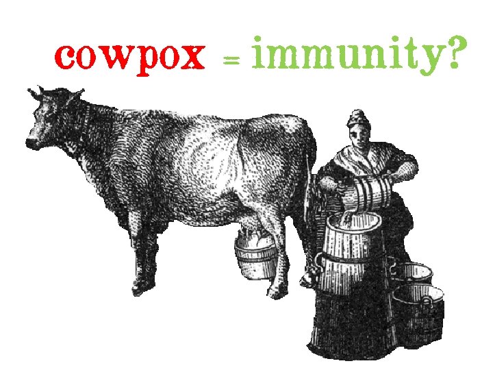 cowpox = immunity? 