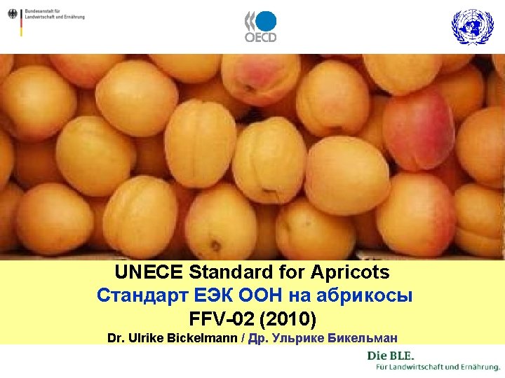 UNECE Standard for Apricots Стандарт ЕЭК ООН на абрикосы FFV-02 (2010) Dr. Ulrike Bickelmann
