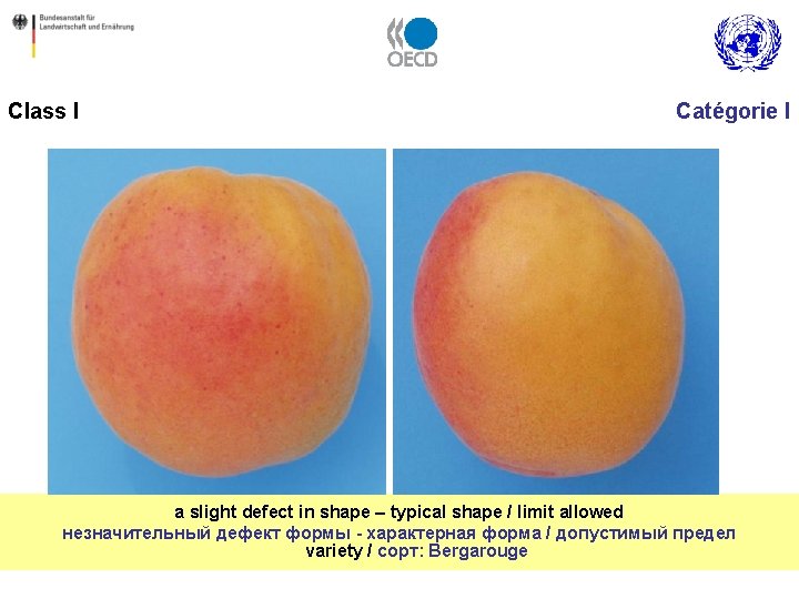 Class I Catégorie I a slight defect in shape – typical shape / limit