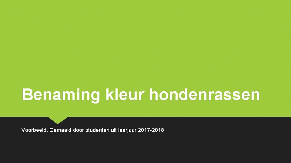 Benaming kleur hondenrassen Voorbeeld. Gemaakt door studenten uit leerjaar 2017 -2018 