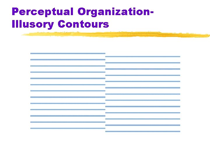 Perceptual Organization. Illusory Contours 