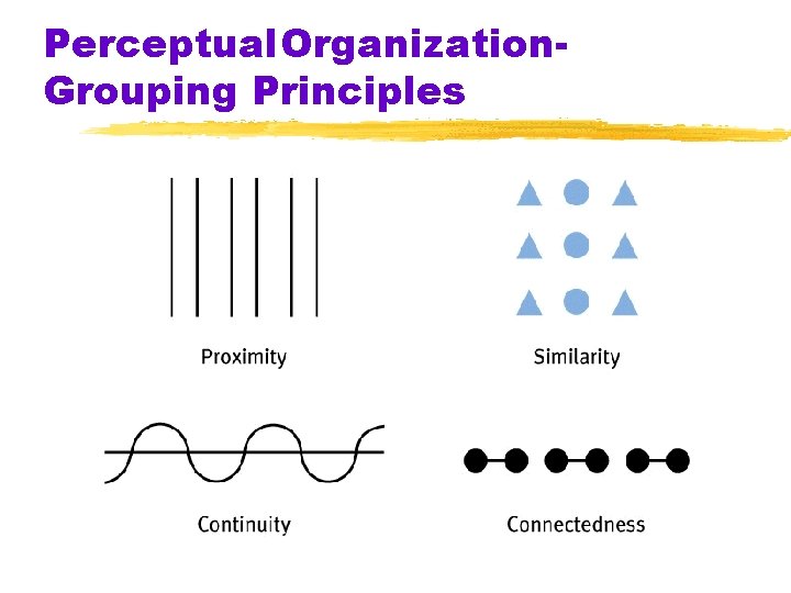 Perceptual. Organization. Grouping Principles 