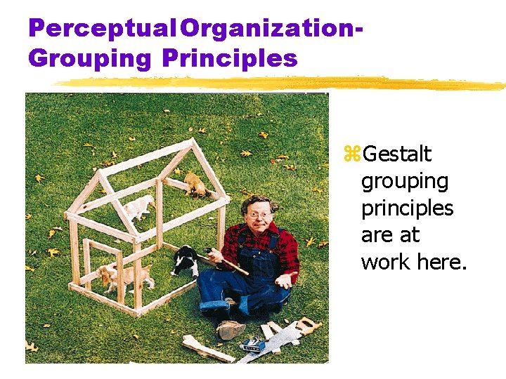 Perceptual. Organization. Grouping Principles z. Gestalt grouping principles are at work here. 