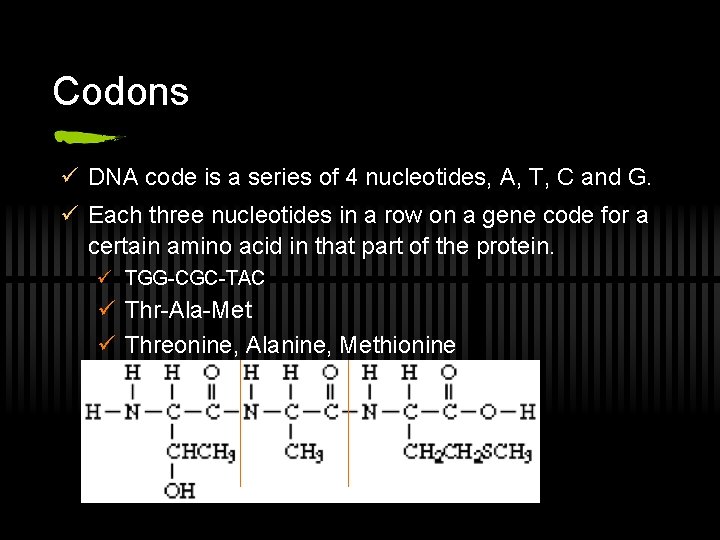Codons ü DNA code is a series of 4 nucleotides, A, T, C and