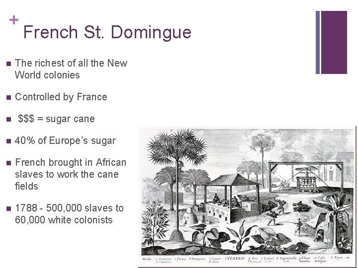 + French St. Domingue n The richest of all the New World colonies n