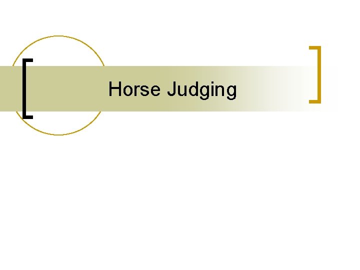 Horse Judging 