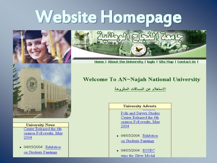 Website Homepage 
